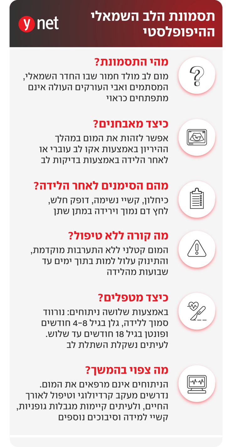 תסמונת הלב השמאלי ההיפופלסטי תסמונת הלב השמאלי ההיפופלסטי