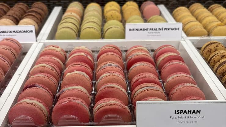 צילום: ניצן כהנא Pierre Hermé