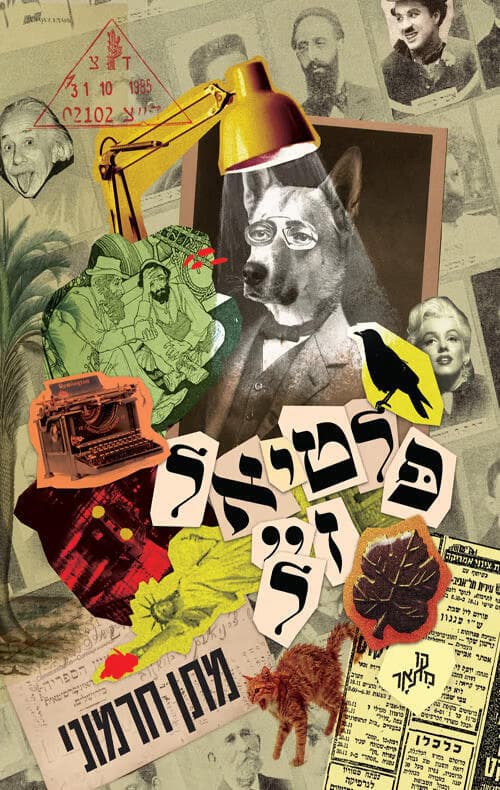 עטיפת הספר "פלטיאל ז״ל", מאת מתן חרמוני (באדיבות הוצאת אפרסמון) עטיפת הספר "פלטיאל ז״ל", מאת מתן חרמוני