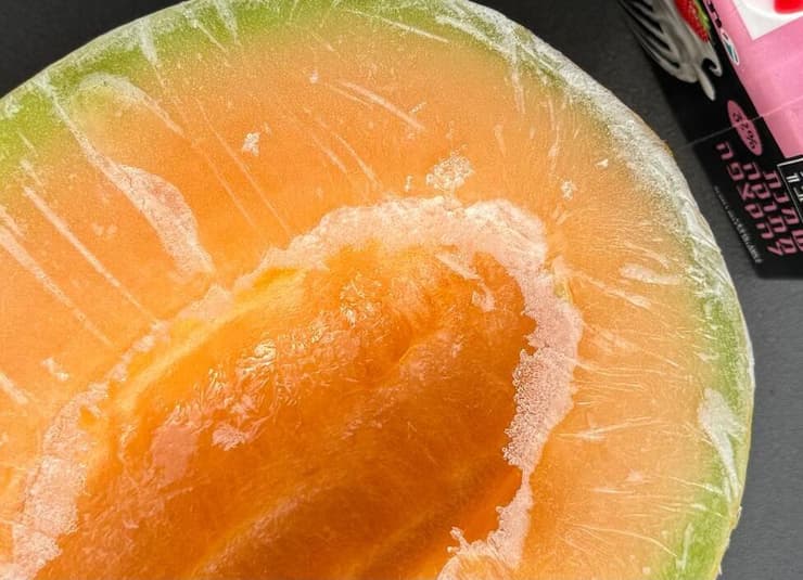 מקפיאים (צילום: ספיר גורדו) גלידת מלון