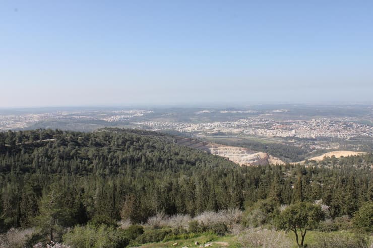 השטחים הפתוחים באזור בית שמש (צילום: בלה נודלמן) השטחים הפתוחים באזור בית שמש