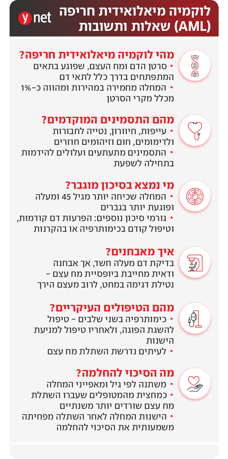 אינפו לוקמיה מיאלואידית חריפה (AML) אינפו לוקמיה מיאלואידית חריפה (AML)