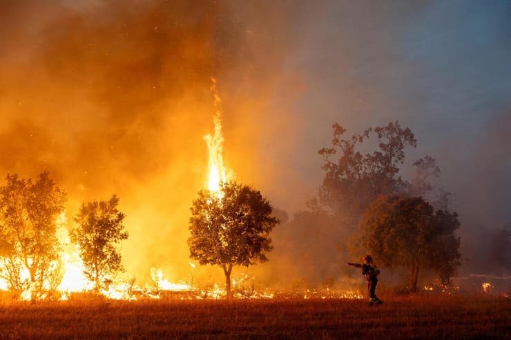 שריפת יער במערב ספרד (צילום: Umit Bektas/Reuters) שריפת יער במערב ספרד