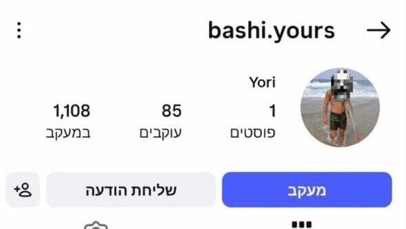 אחד מהפרופלים המזויפים (קרדיט: דוברות המשטרה) התנהלות פרשיה בחשד לביצוע עבירות של מעשה מגונה בקטין