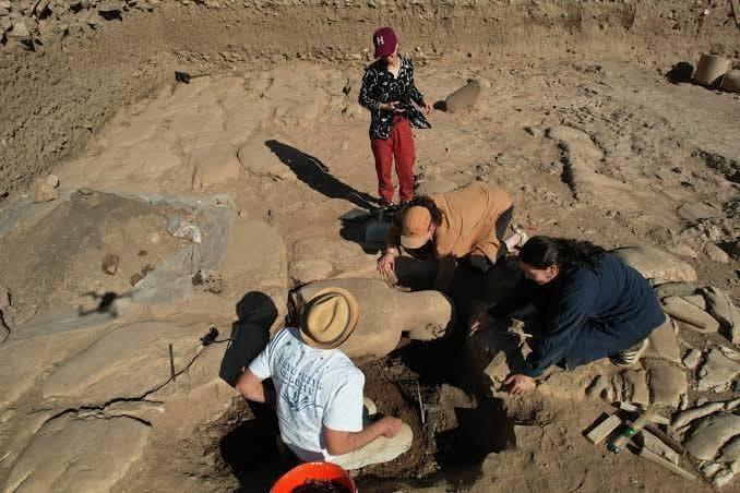 הוצאת חלקי הפסל מהאדמה (צילום: Archaeological Exploration of Sardis/President and Fellows of Harvard College) הוצאת חלקי הפסל מהאדמה