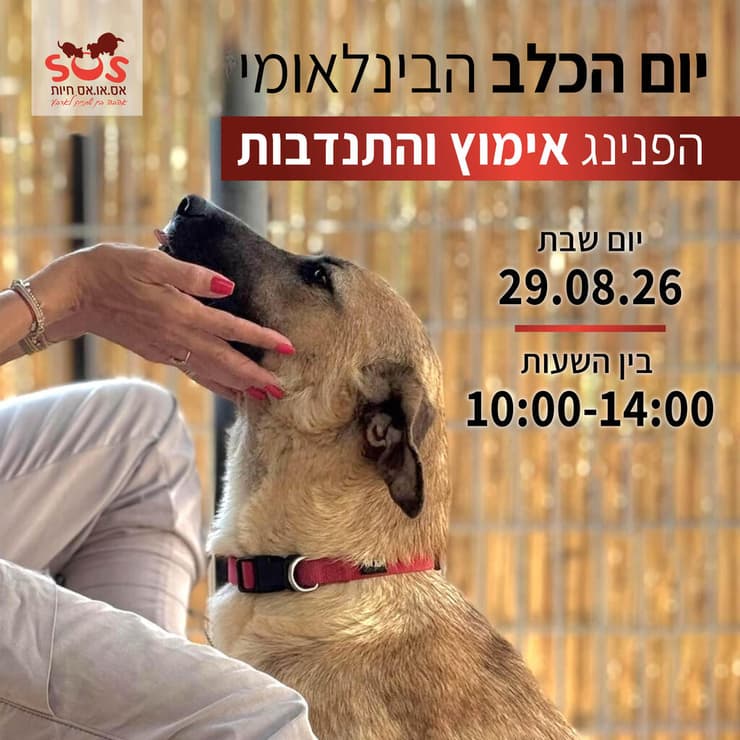 צילום: עמותת S.O.S חיות