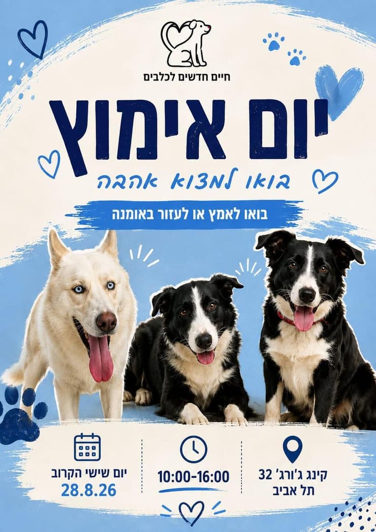 צילום: חיים חדשים לכלבים