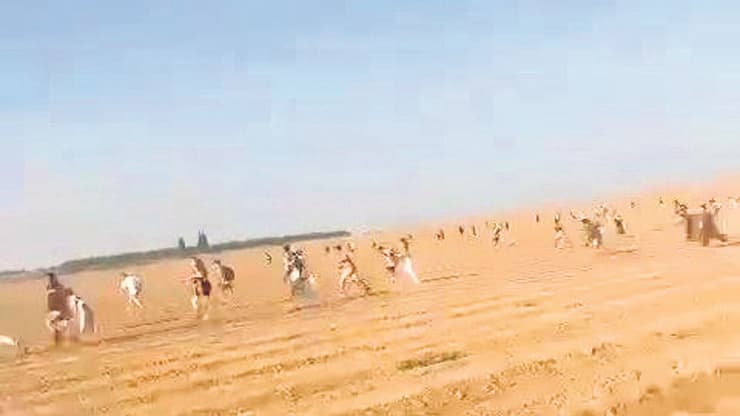 הבריחה מפסטיבל הנובה