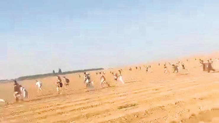 הבריחה מפסטיבל הנובה (צילום: מתוך הרשתות החברתיות) הבריחה מפסטיבל הנובה