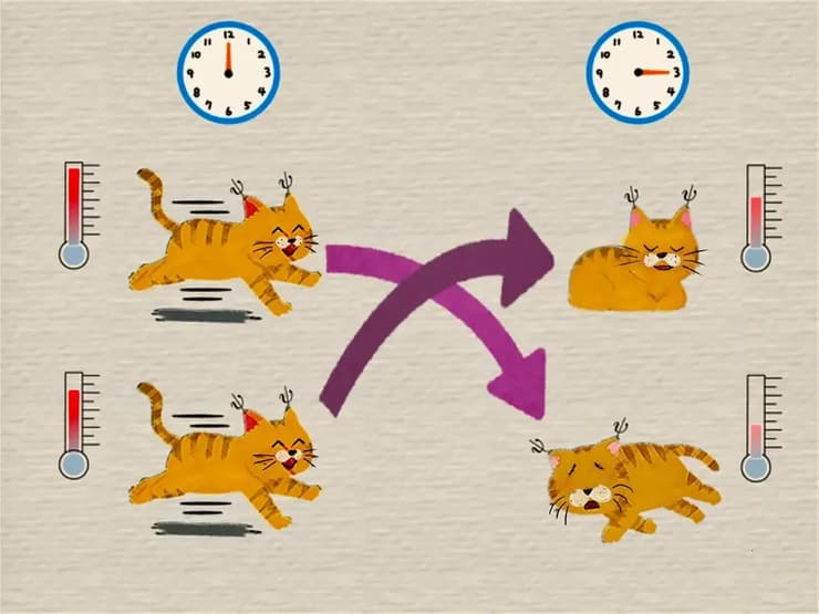 הפיזיקה של מפמבה היא גן חיות של אפקטים שמופיעים שוב ושוב בשינוי אדרת. אילוסטרציה של מערכת של נקודות קוונטיות, כאשר המערכת החמה יותר מתקררת מהר יותר (איור: KyotoU/Hisao Hayakawa) הפיזיקה של מפמבה היא גן חיות של אפקטים שמופיעים שוב ושוב בשינוי אדרת. אילוסטרציה של מערכת של נקודות קוונטיות, כאשר המערכת החמה יותר מתקררת מהר יותר