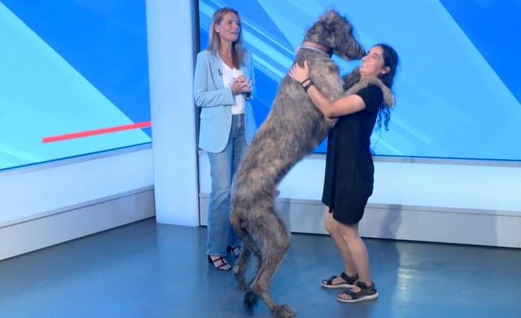 קרן רוזנטל ופדינגטון באולפן ynet יחד עם שרון כידון (צילום: באדיבות קרן רוזנטל) קרן רוזנטל ופדינגטון באולפן ynet יחד עם שרון כידון