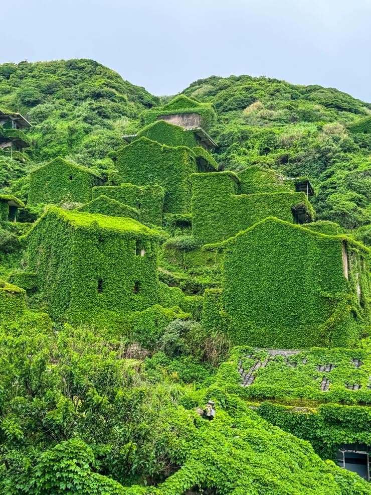 הצמחייה השתלטה על המבנים (צילום: HONGXU / shutterstock) כפר חוף נטוש בז'ושאן, מחוז ג'ג'יאנג, סין