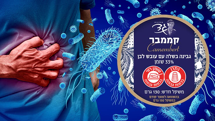 חיידק ליסטריה בגבינת קממבר של מחלבות גד. מי בקבוצת הסיכון? (צילום: shutterstock, משרד הבריאות) חיידק ליסטריה בגבינת קממבר של מחלבות גד