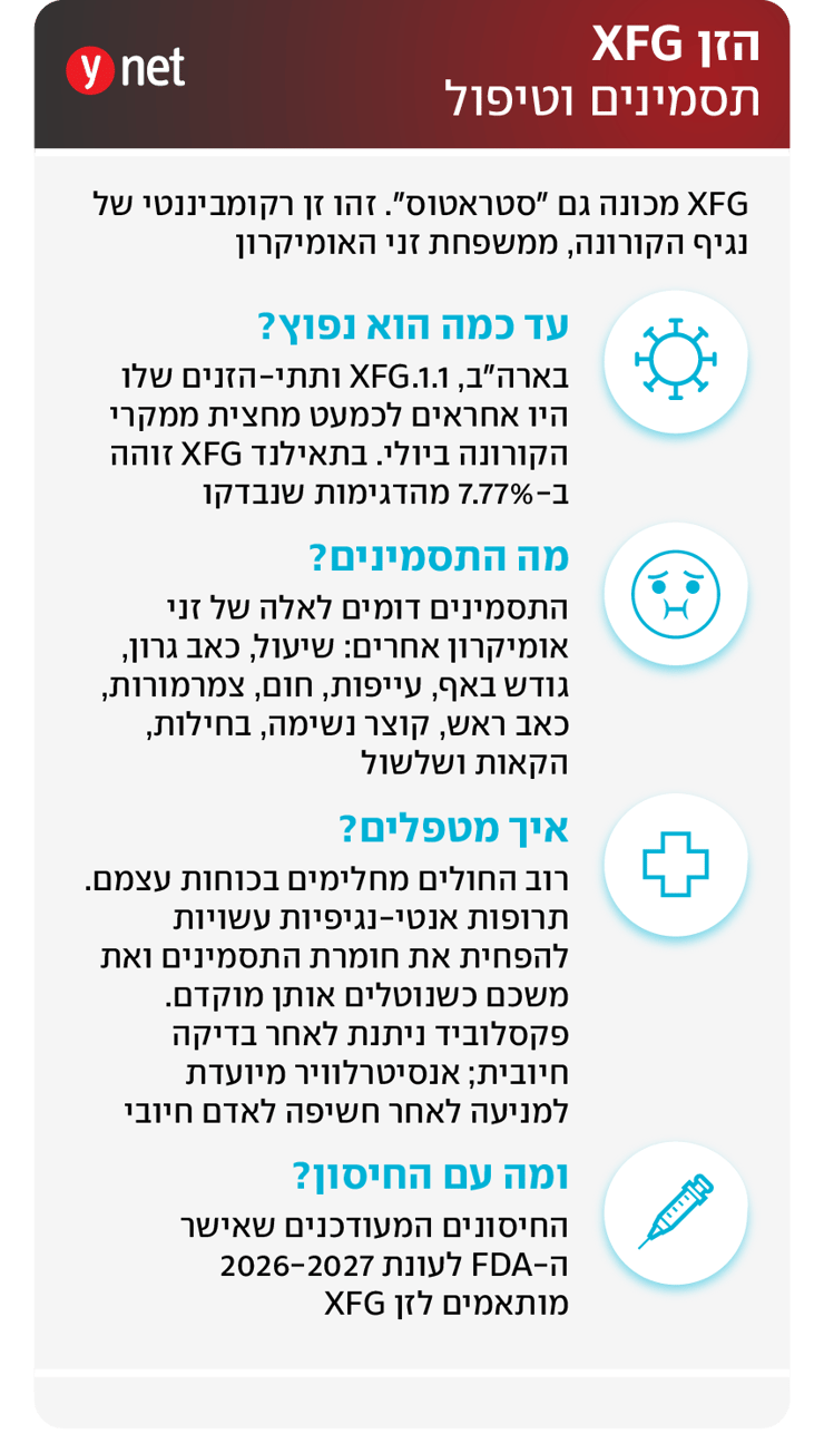 אינפו זן XFG קורונה אינפו זן XFG קורונה