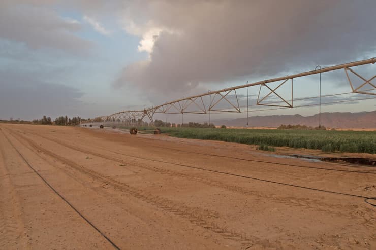 השקיית שדות בנגב (צילום: skapuka/Shutterstock) השקיית שדות בנגב