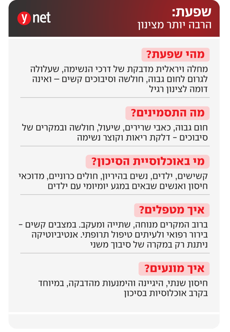 אינפו שפעת אינפו שפעת