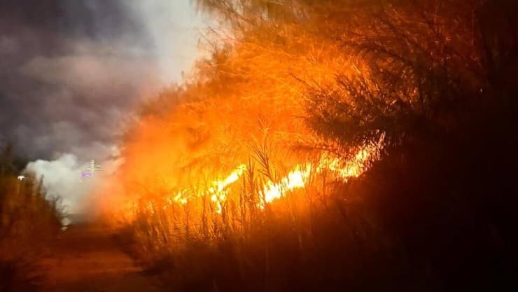 שריפת קוצים בשתי גדות נחל הירקון שברמת גן