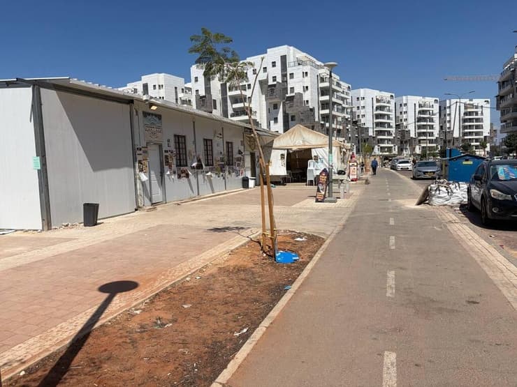 צילום: מאיר תורג'מן