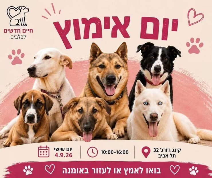 צילום: חיים חדשים לכלבים