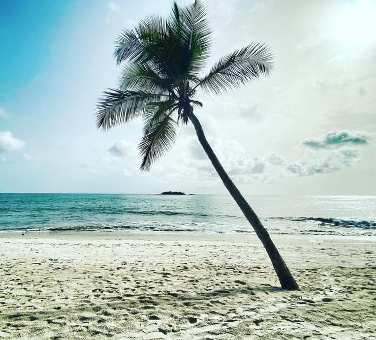 יפה גם לא רק בשקיעה (צילום: אדם ג'אנו ) Beach Number 2