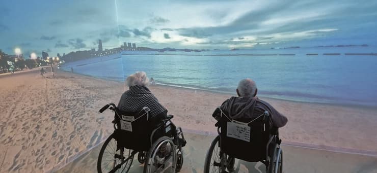 צילום: מאור לוי