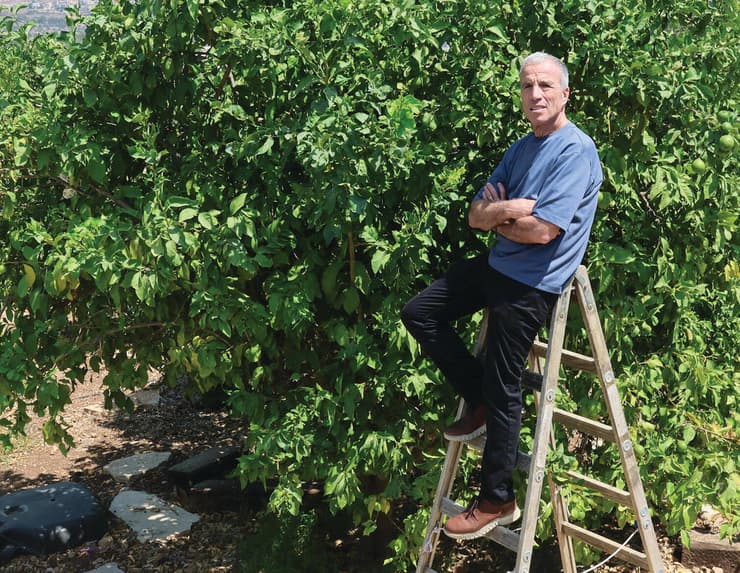 ח"כ שטרן, השבוע. "אסור שביבי יהיה ראש ממשלה, אבל הציבור שלו לא פסול" (צילום: עמרי שטיין) ח"כ שטרן, השבוע. "אסור שביבי יהיה ראש ממשלה, אבל הציבור שלו לא פסול"