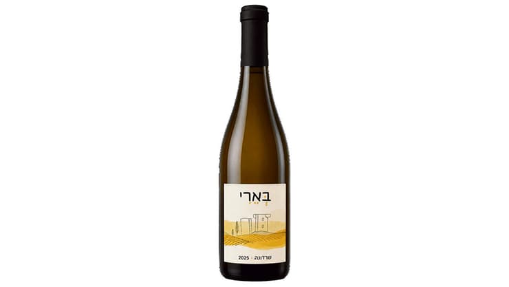 היין של יקב בארי. כבר ניתן לרכישה היין של יקב בארי. כבר ניתן לרכישה