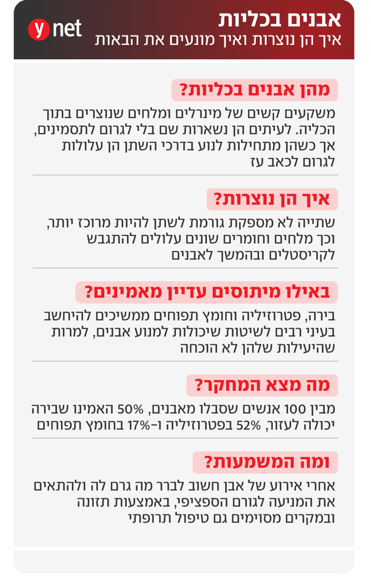 אינפו אבנים בכליות אינפו אבנים בכליות
