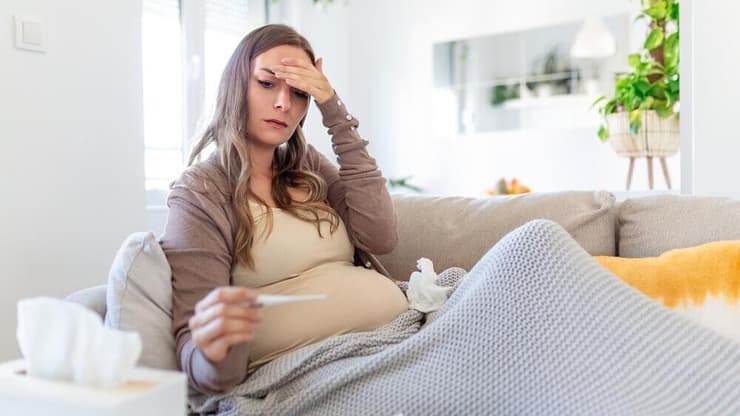 מחלת חום במהלך היריון (צילום: shutterstock) מחלת חום במהלך היריון