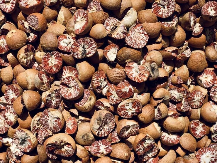 אגוזי אריקה מיובשים