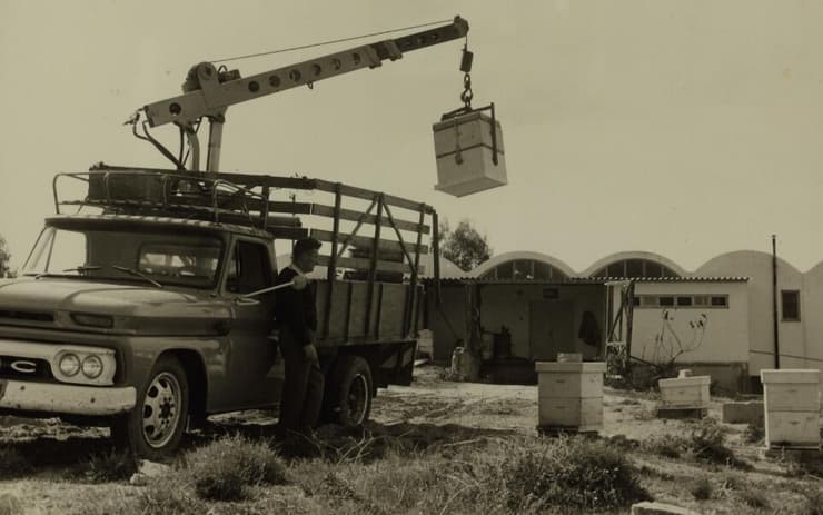 המנוף הראשון של הכוורות ב-1963 (צילום: הספרייה הלאומית) המנוף הראשון של הכוורות ב-1963