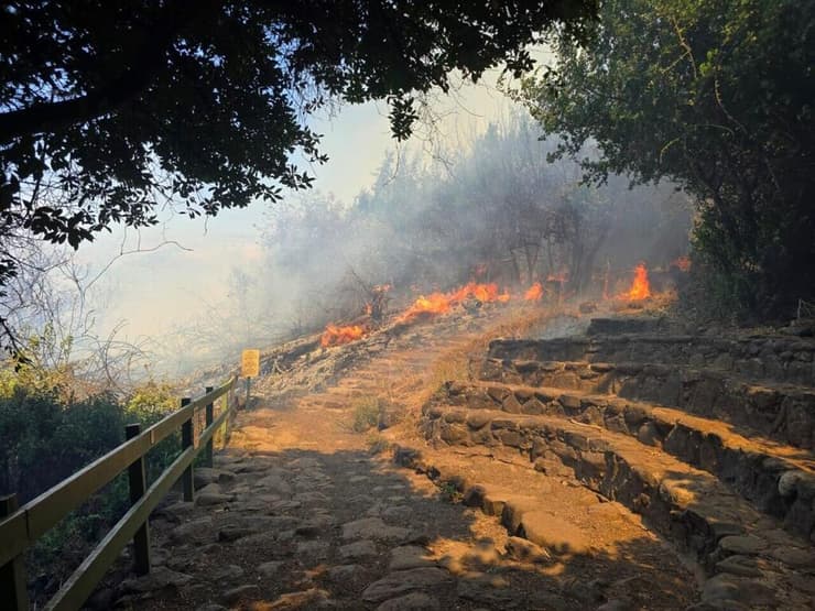 השריפה בשמורת הטבע תל דן (צילום: מוחי עיד, רשות הטבע והגנים) שריפה בשמורת הטבע תל דן