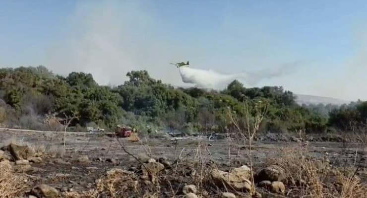  תיעוד: מטוב כיבוי מכבה שריפה שפרצה בשמורת הטבע תל דן