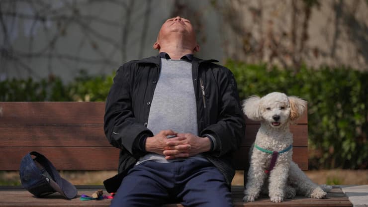 סין (צילום: Andy Wong/AP) סין