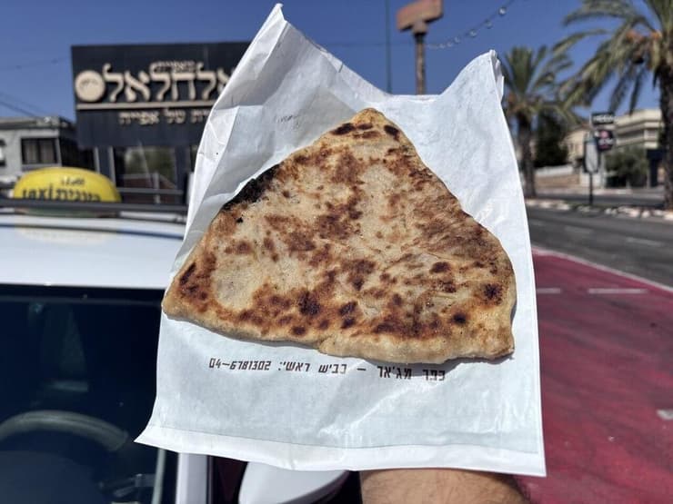 פטאייר תרד ענק