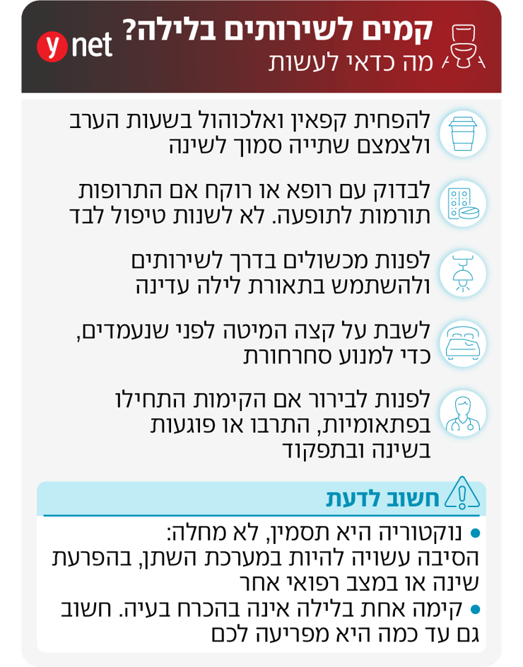 אינפו שירותים נוקטוריה אינפו שירותים נוקטוריה