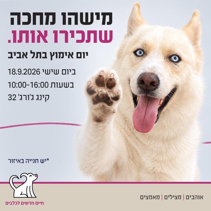 צילום: חיים חדשים לכלבים