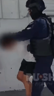 תיעוד אגם צרפי במעצר (מתוך X) תיעוד אגם צרפי במעצר