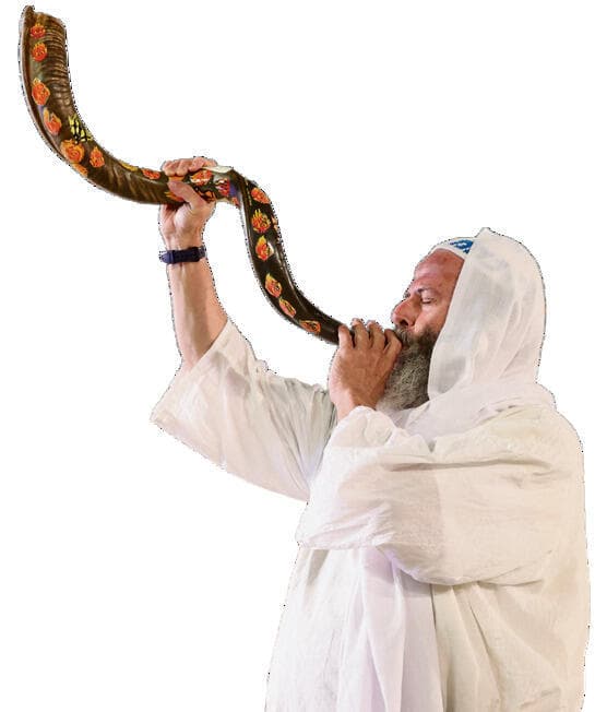 אלכס קולומויסקי