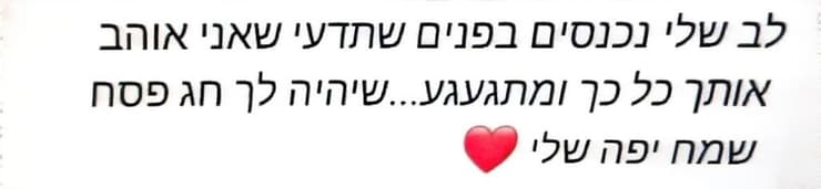 ההתכתבות (צילום: דוברות המשטרה) ההתכתבות