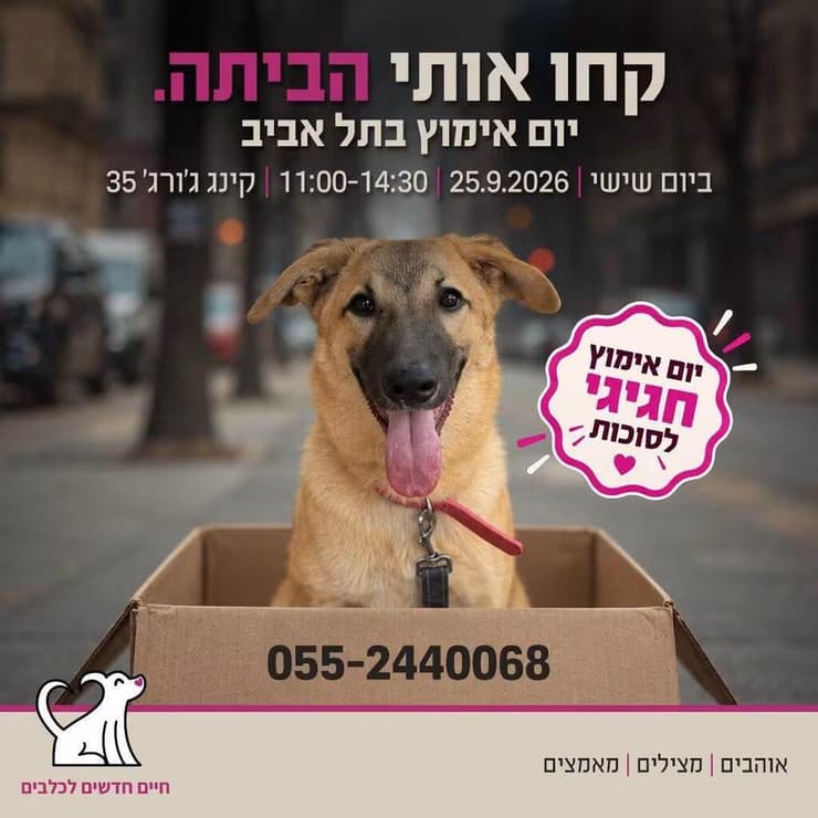 צילום: חיים חדשים לכלבים