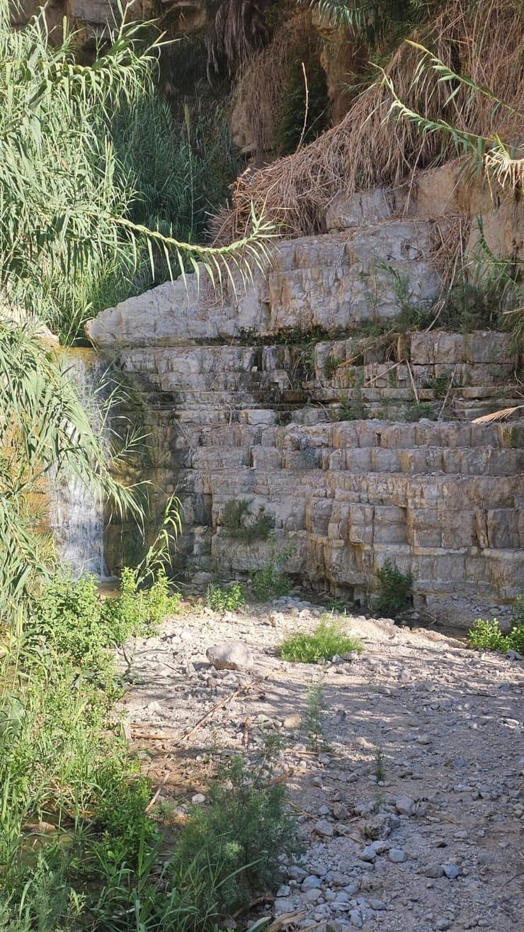 מסלול נחל דוד