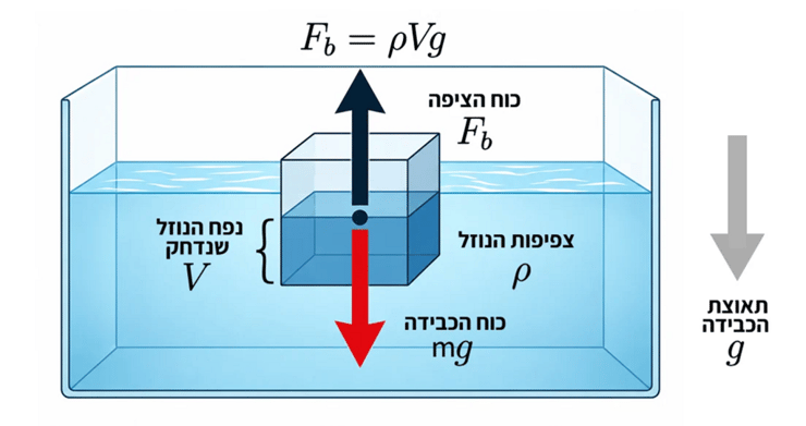 כוח הציפה הוא הכוח הכולל שנוזל מפעיל על גוף ששקוע בו. גודלו נקבע לפי צפיפות הנוזל ונפח הנוזל שהגוף דוחק ממקומו (איור: אליסה קיסר, באמצעות צ'אט GPT) כוח הציפה הוא הכוח הכולל שנוזל מפעיל על גוף ששקוע בו. גודלו נקבע לפי צפיפות הנוזל ונפח הנוזל שהגוף דוחק ממקומו