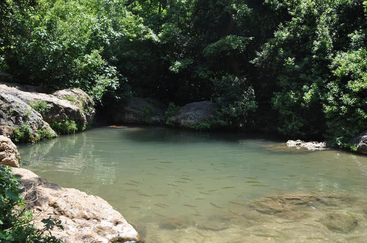 בריכת הקניון בנחל כזיב (צילום: ערן ודוד גל אור) בריכת הקניון בנחל כזיב