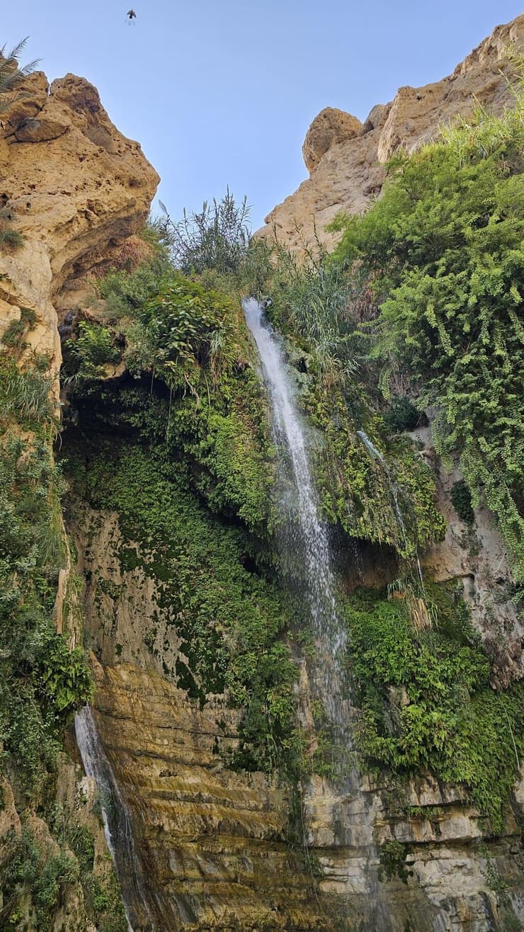 מפל דוד