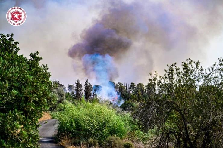 השריפה ביער חרובית (צילום: קובי ריכטר, כבאות והצלה לישראל) שריפה ביער חרובית