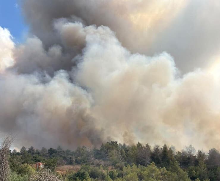שריפה ביער חרובית (צילום: עובדי ויערני קקל) שריפה ביער חרובית