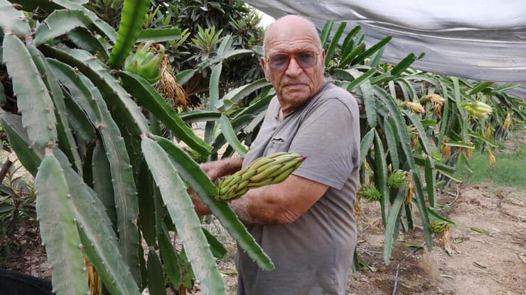 שלמה אברבנאל (צילום: שאול גולן) שלמה אברבנאל