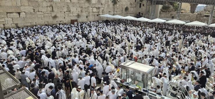 מתפללים בכותל המערבי (צילום: שילה פריד) מתפללים בכותל המערבי
