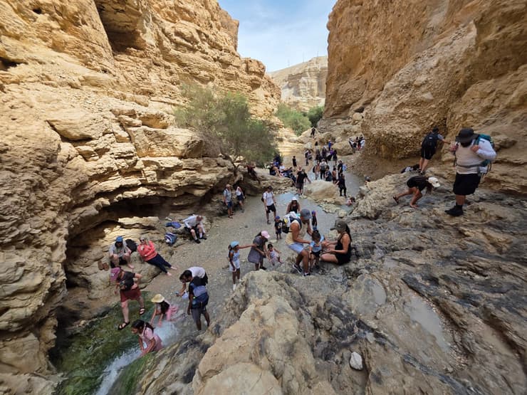 מטיילים בעין בוקק (צילום: אשר פרץ, רשות הטבע והגנים) עין בוקק בשמורת טבע מדבר יהודה